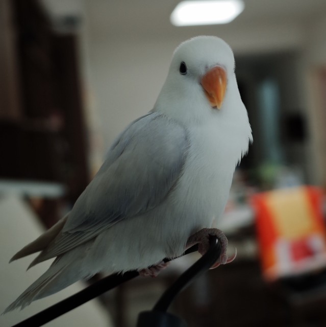 1906624 