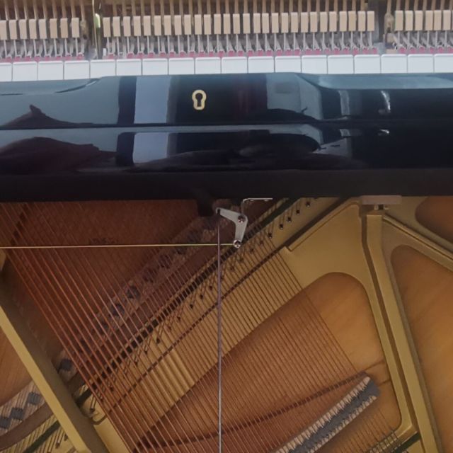 1906881 *_@