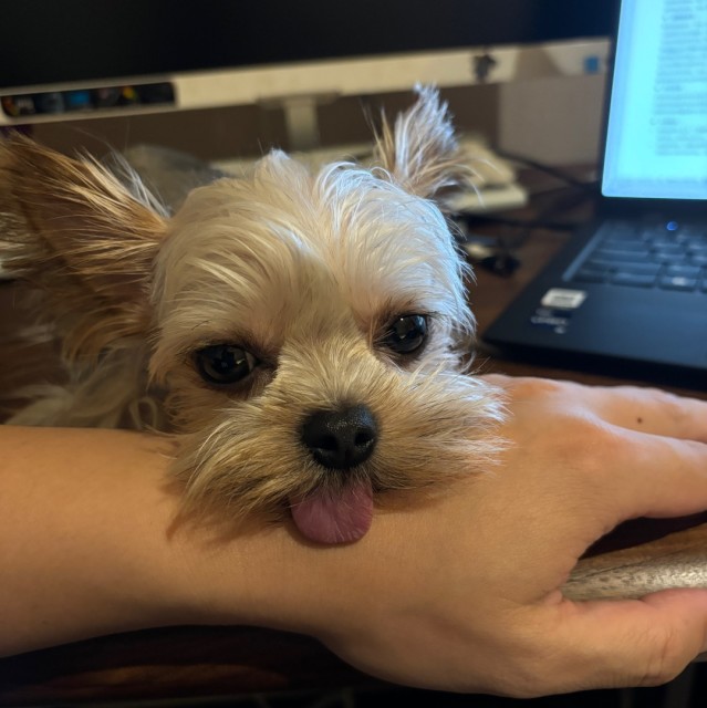 1906902 风