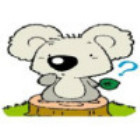 1907200 西湖考拉