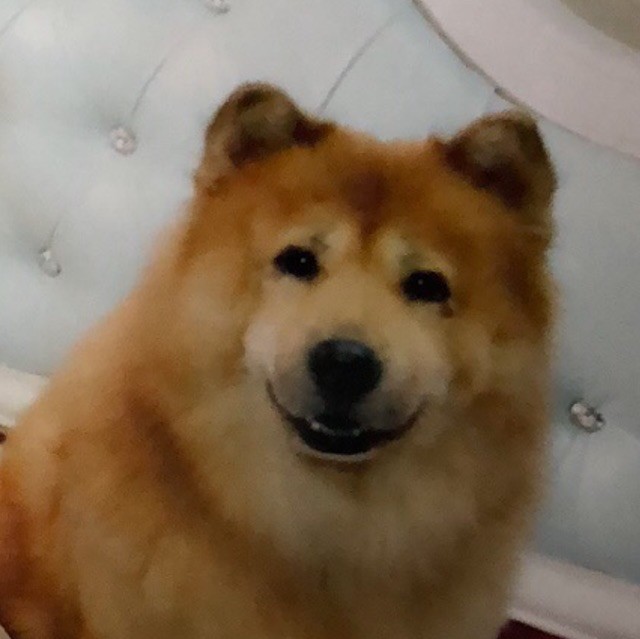 1908139 爷就是野