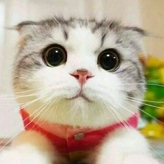 1908769 