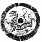 1910151 1910151