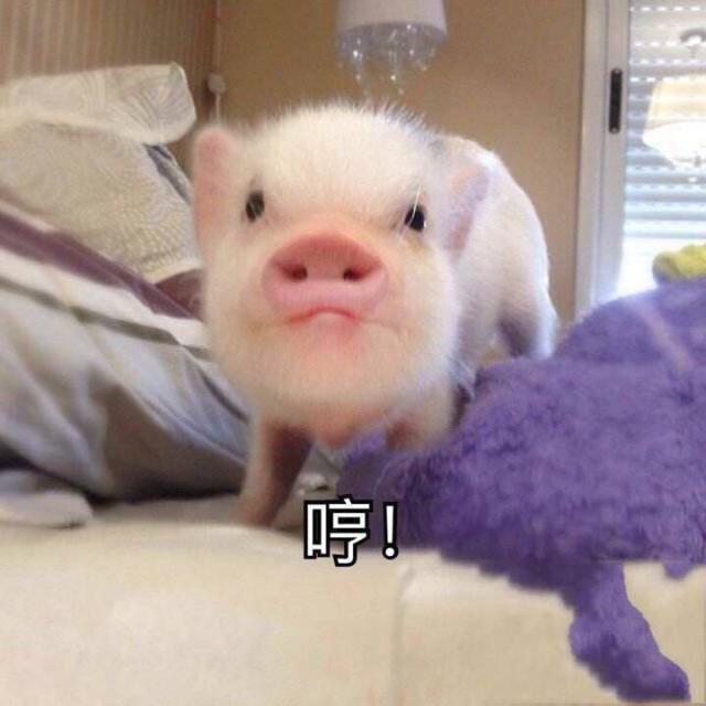 1910471 燕.