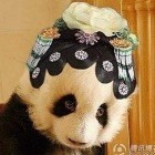 1910787 小新