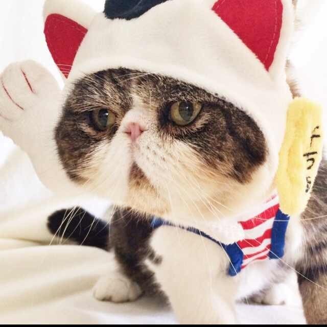 1911255 ゞ冰﹖_可乐