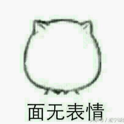 1911386 爬树摔死的考拉