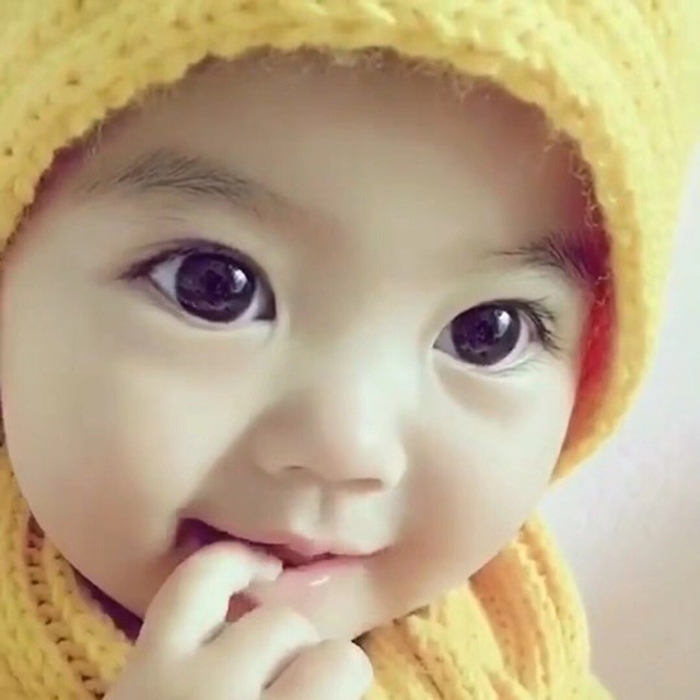 1911439 专业培训驾照