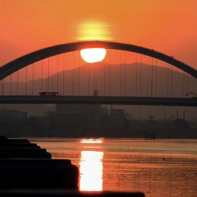 1916161 翻江鼠