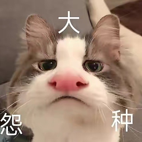 1917197 邓秀峰