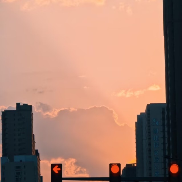 192523270 Lonelycity