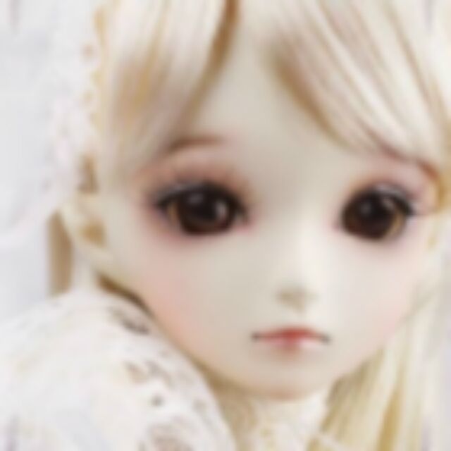 1942208 黑白