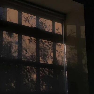 1945223 雙魚座