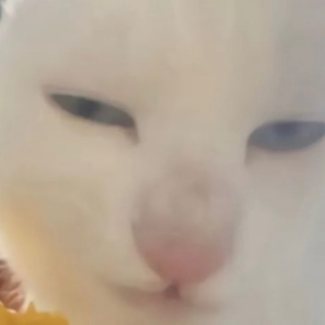 1946814 ¿