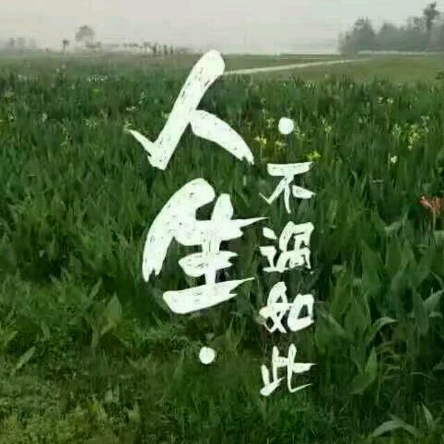 1946894 地狱激情