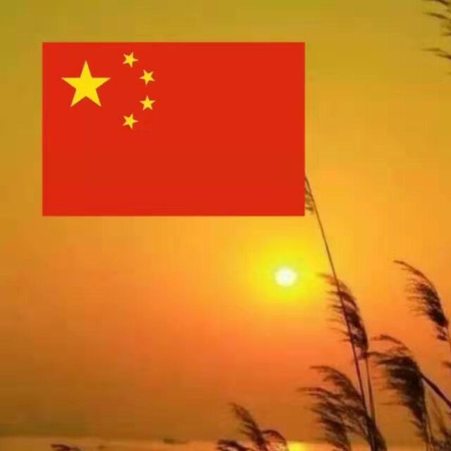 1947669808 雨佳