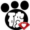1949206 破猫猫✅已认证