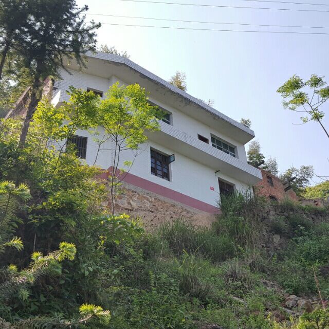 1949293 阴天