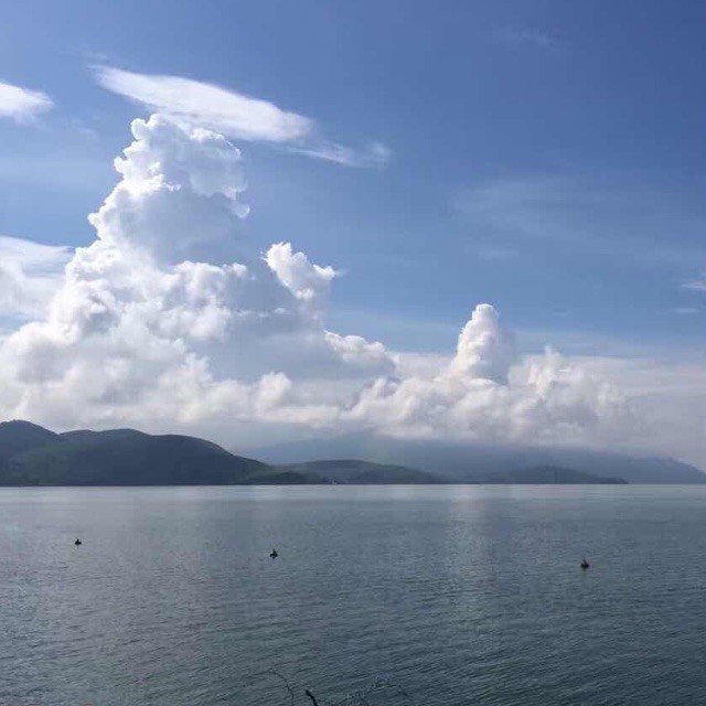 1949686 心有桃花源