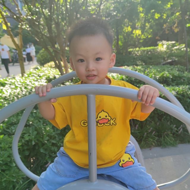 1950741 易平