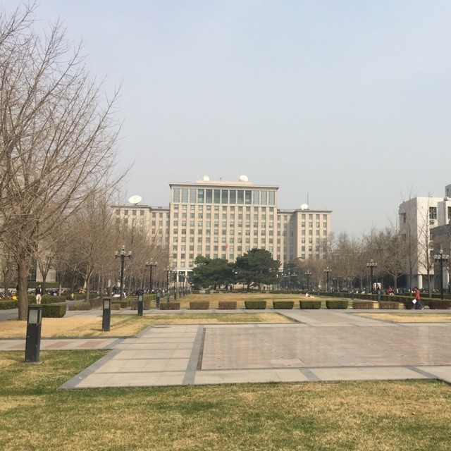 1952378 俘获梦想