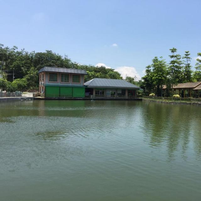 1954318 人生