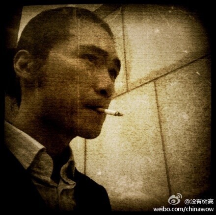 1955938 没有树高