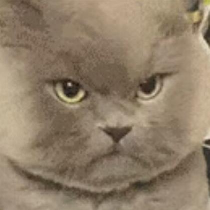1960272 贰次圆薛定墒猫
