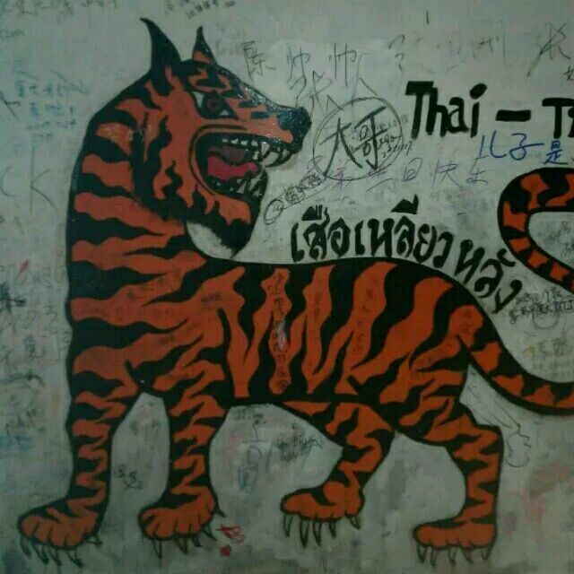 1960763 tigerhua