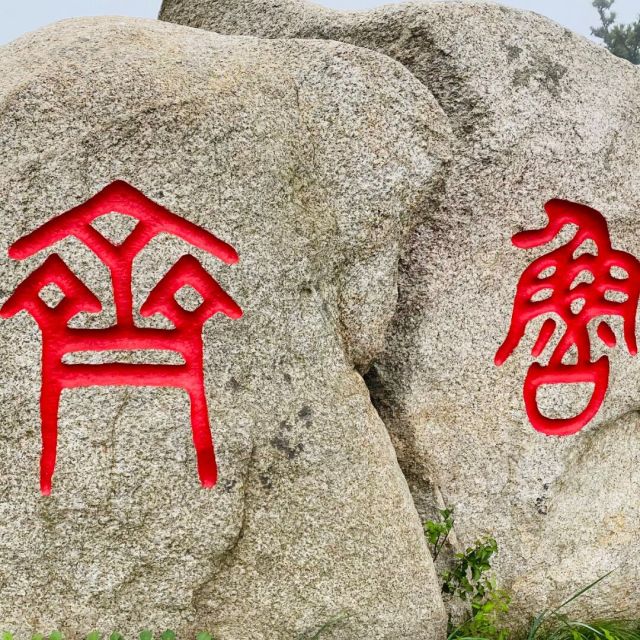 1961206 小老虎