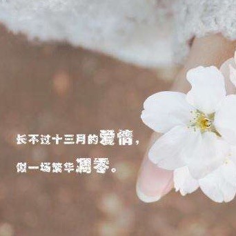 1961858 欲说还休？