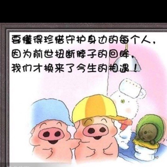 1962510 小嘟=笨猪