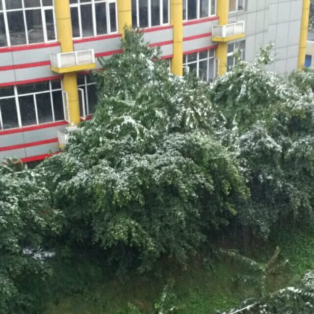 1963518 追星雨