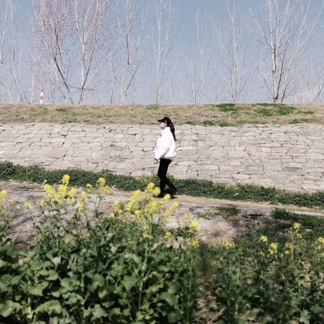 1963775 聆雨听风