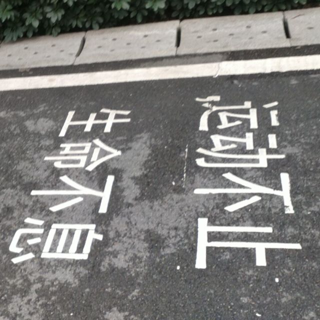 1964964 主必快來