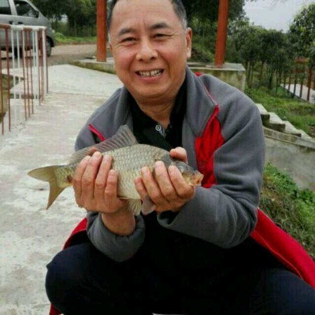 1965276 鱼猫子