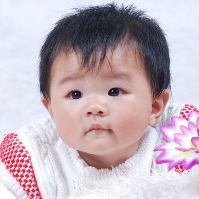 1971811 /xin动