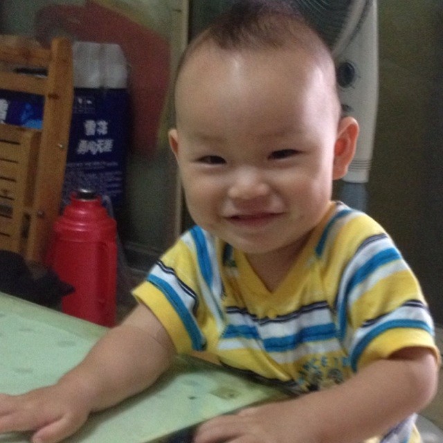 1972109 青蛙