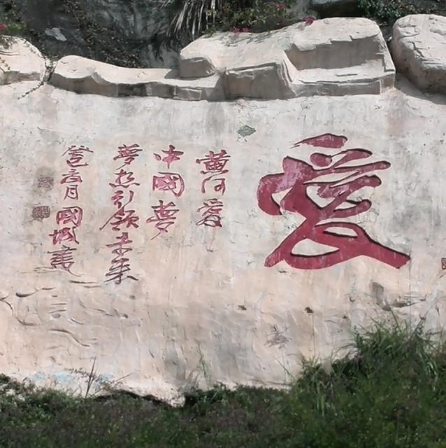 1972311 弓长家/xin