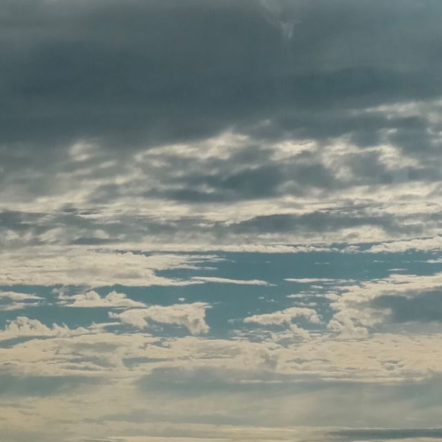 1972650 爱无怨无悔