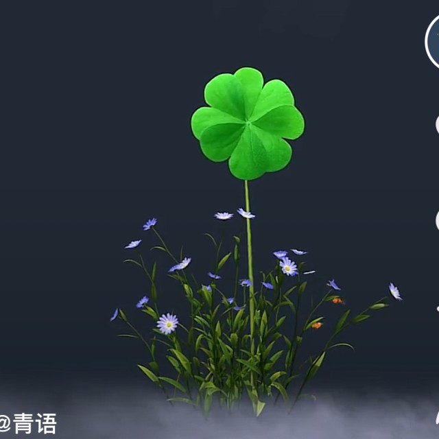1975521 随风而行