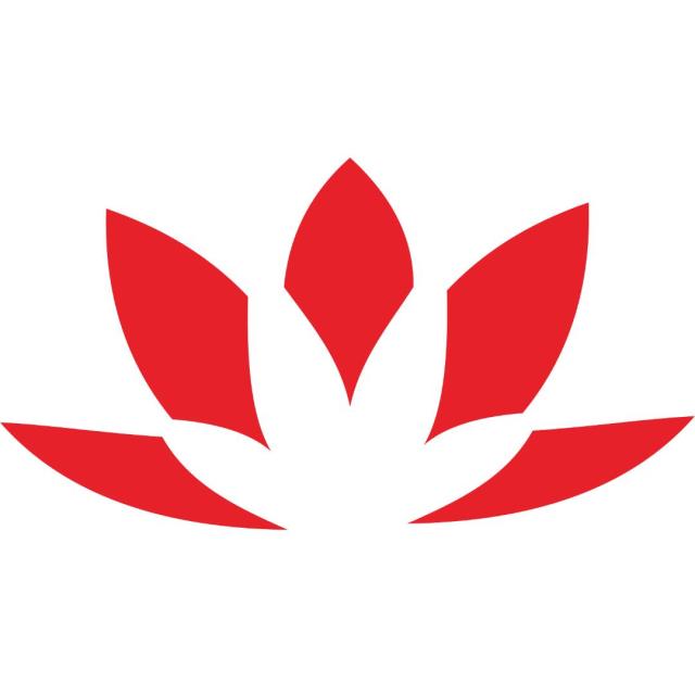 1976642 无所谓