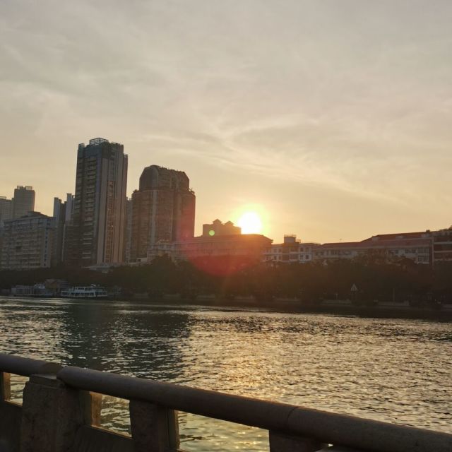 1977740 鸟倦知返