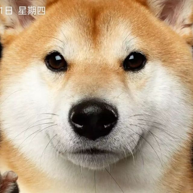 1978523 亚特兰蒂斯