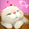1978622 猫宝贝