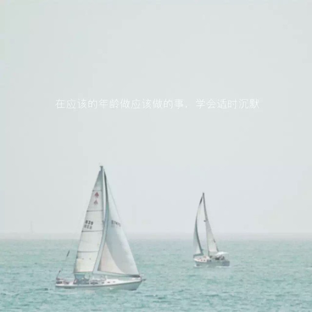 1981389 东