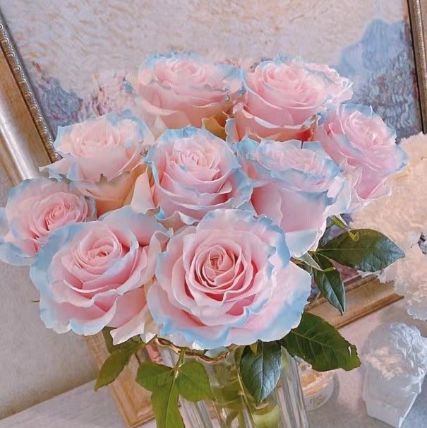 1982535 ˊSwēet娃❤
