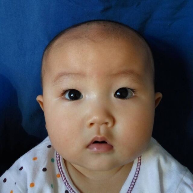 1983511 赵鹤义