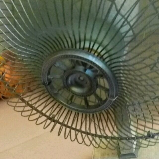 1984621 小懿