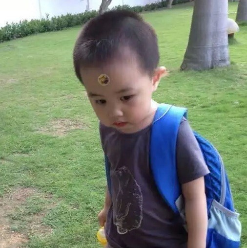 1987117 成长的足迹